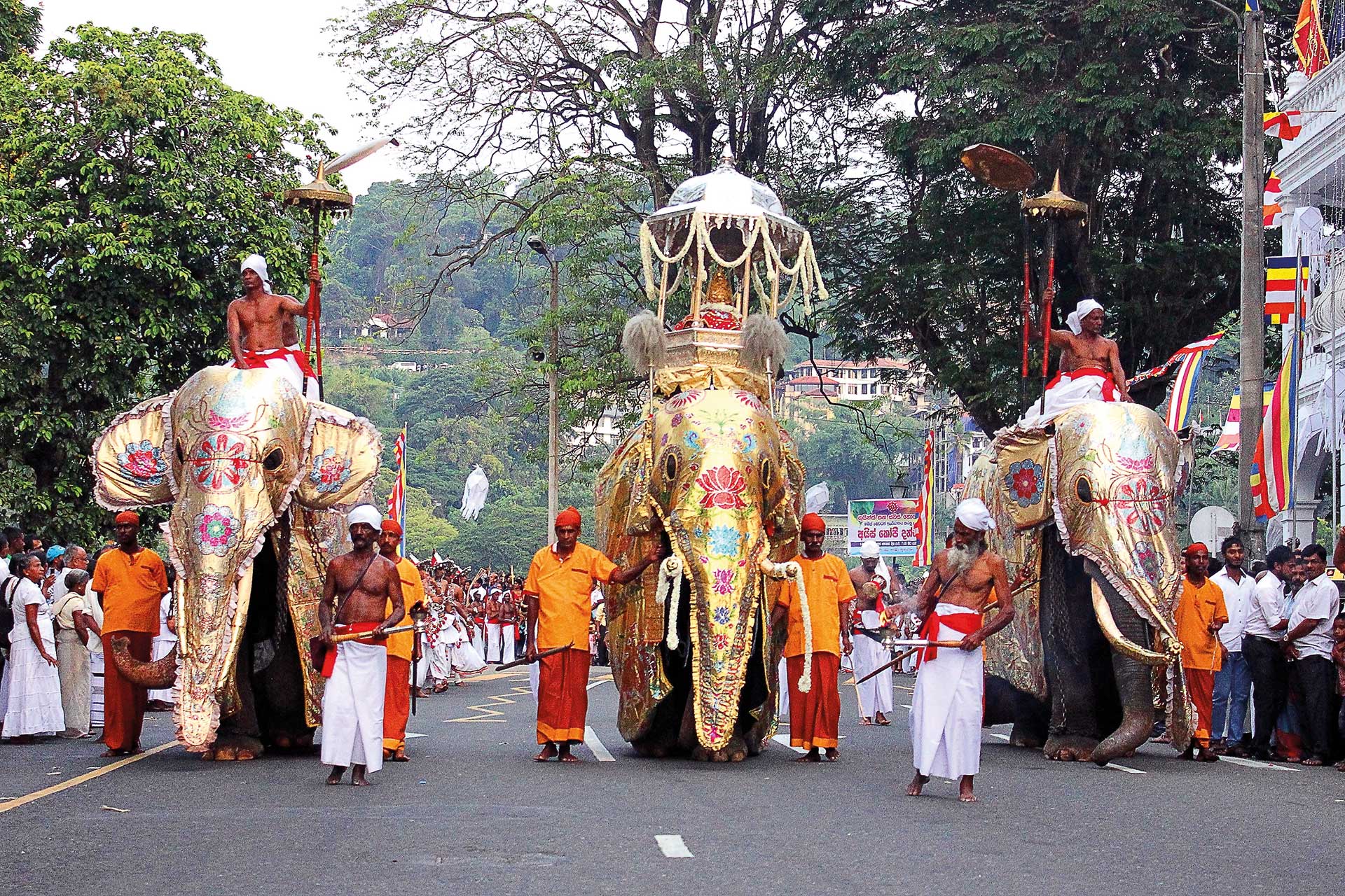Kandy-Sri-Lanka-Elephant-Parade-