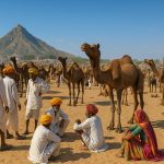 Pushkar-Camel-Fair-India