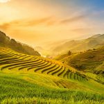 Sara-Vietnam-Short-Stop