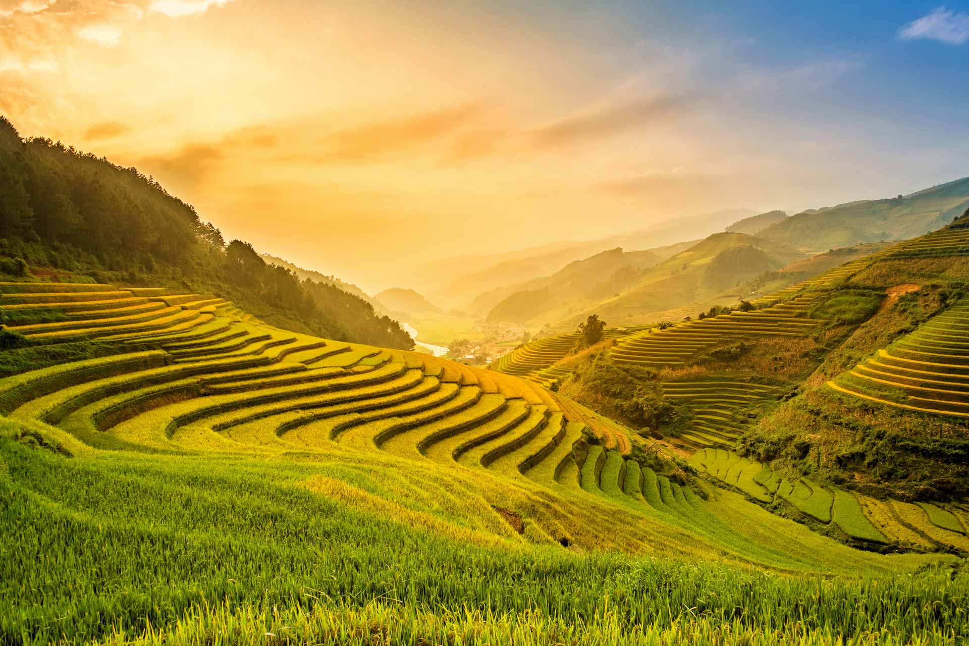 Sara-Vietnam-Short-Stop