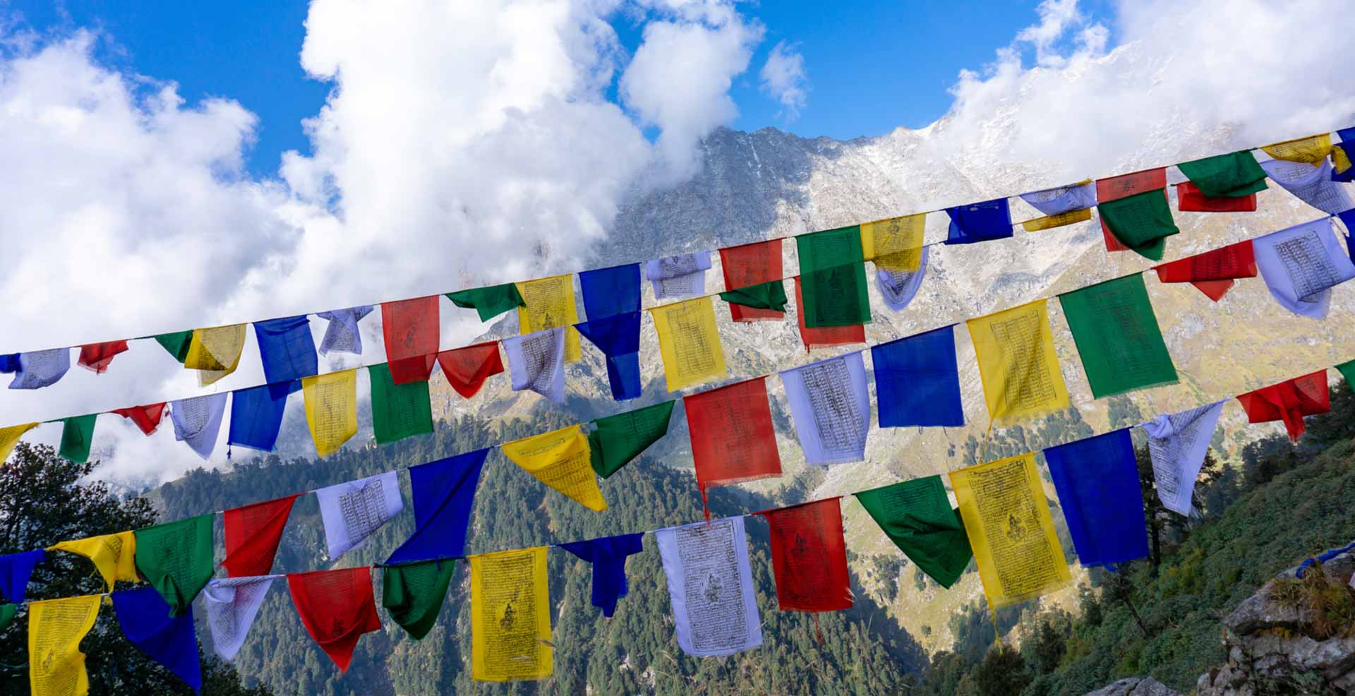 Northern India Tour