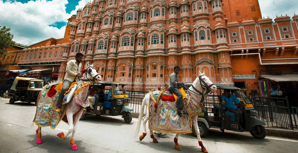 Royality and Tigers India