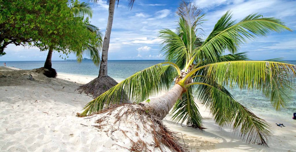 Selingan Turtle Island