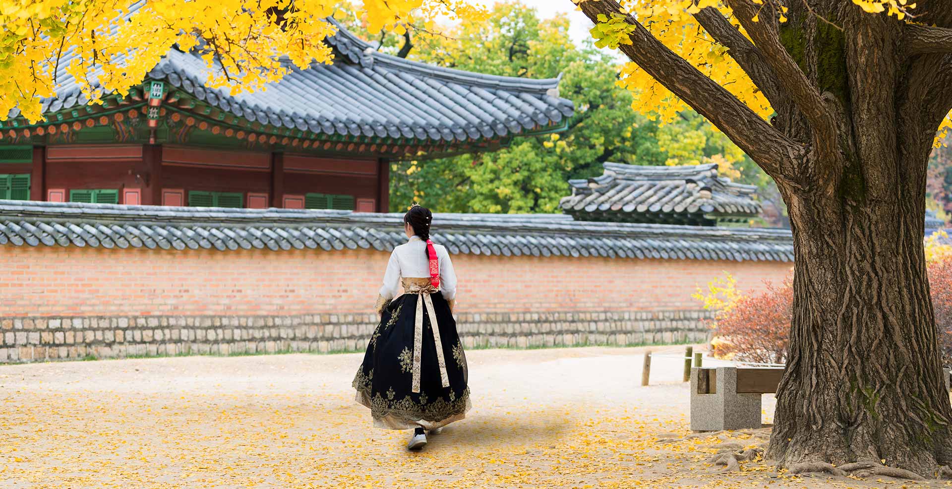 Seoul Short Stop