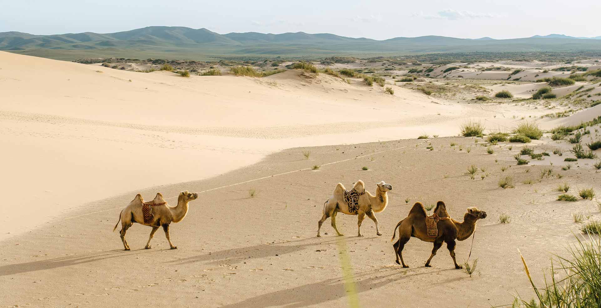 Ulaanbaatar Gobi Desert Mongolia