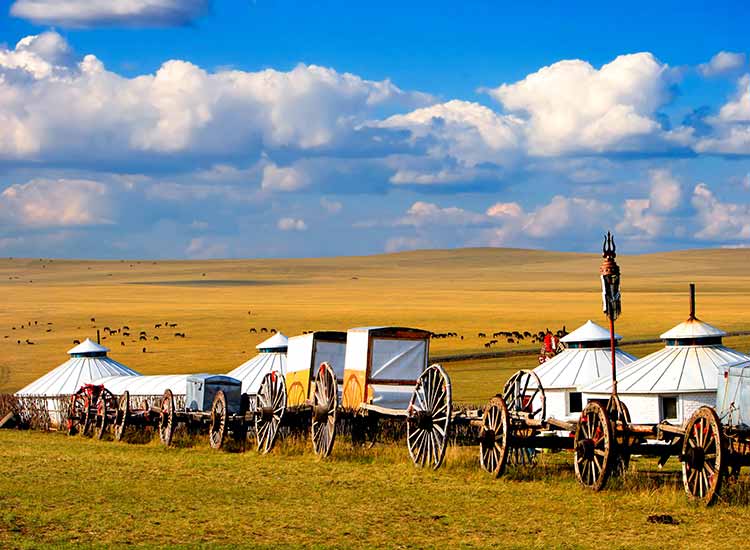 Mongolia Highlights