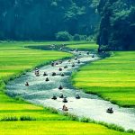 Vietnam Family Holiday with Halong & Ninh Binh